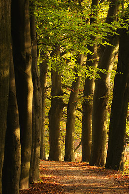 BUITEN BEELD Foto: 57296