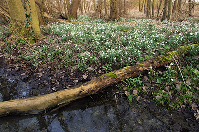 BUITEN BEELD Foto: 57298