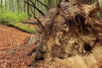 BUITEN BEELD Foto: 57331