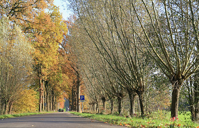 BUITEN BEELD Foto: 57374