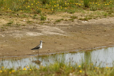 BUITEN BEELD Foto: 57407