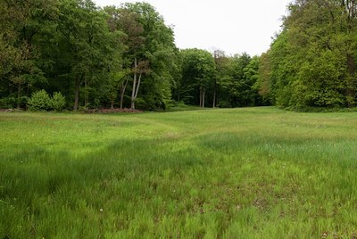 BUITEN BEELD Foto: 57410