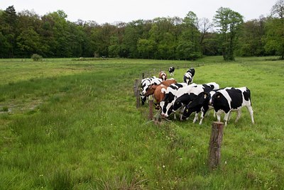 BUITEN BEELD Foto: 57414