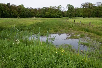BUITEN BEELD Foto: 57415