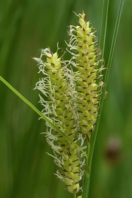 BUITEN BEELD Foto: 57418