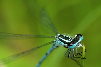 BUITEN BEELD Foto: 57422