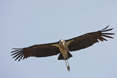 BUITEN BEELD Foto: 57437