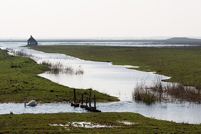 BUITEN BEELD Foto: 57481