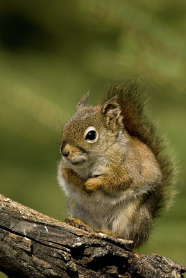 BUITEN BEELD Foto: 57488