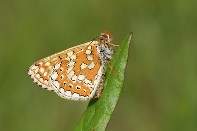 BUITEN BEELD Foto: 57504
