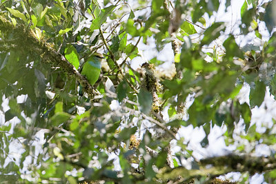 BUITEN BEELD Foto: 57558