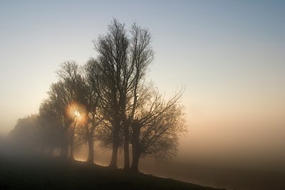 BUITEN BEELD Foto: 57564