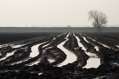 BUITEN BEELD Foto: 57593
