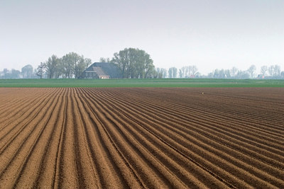BUITEN BEELD Foto: 57594