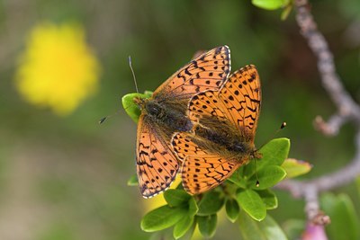 BUITEN BEELD Foto: 57640