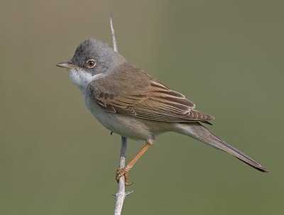 BUITEN BEELD Foto: 57650