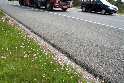 BUITEN BEELD Foto: 57679