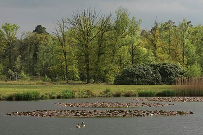 BUITEN BEELD Foto: 57684