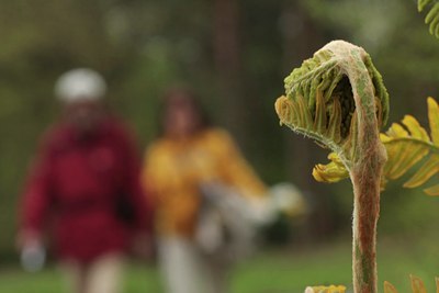 BUITEN BEELD Foto: 57686