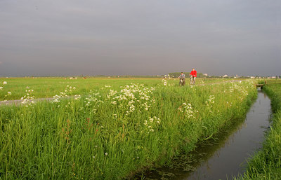 BUITEN BEELD Foto: 57697