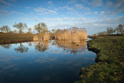 BUITEN BEELD Foto: 57712