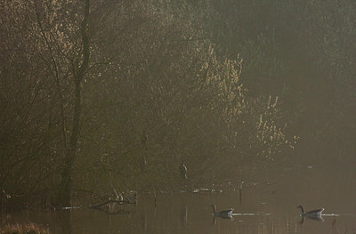 BUITEN BEELD Foto: 57717