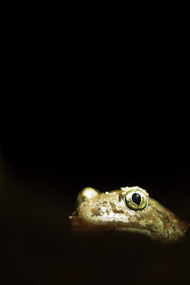 BUITEN BEELD Foto: 57722