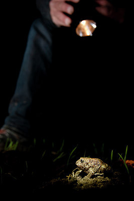 BUITEN BEELD Foto: 57724