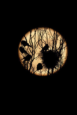 BUITEN BEELD Foto: 57726
