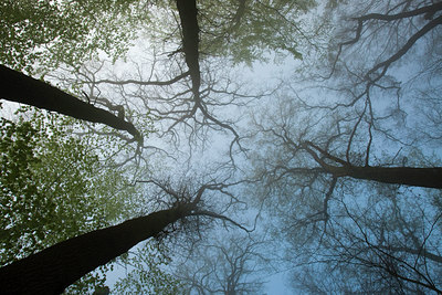 BUITEN BEELD Foto: 57741