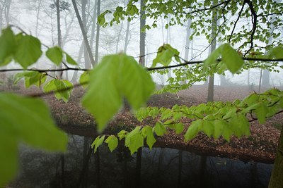 BUITEN BEELD Foto: 57743