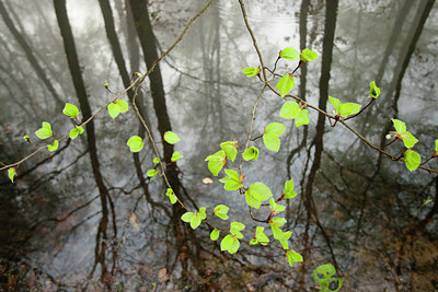 BUITEN BEELD Foto: 57744