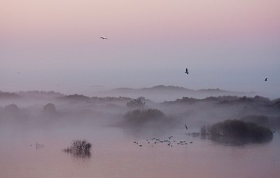 BUITEN BEELD Foto: 57758