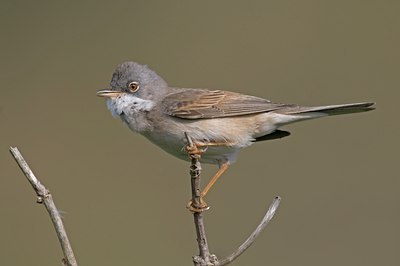 BUITEN BEELD Foto: 57767