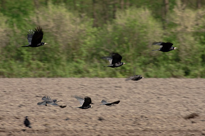 BUITEN BEELD Foto: 57772