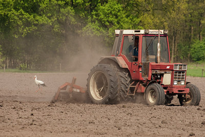 BUITEN BEELD Foto: 57774
