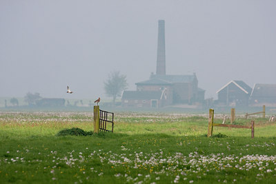 BUITEN BEELD Foto: 57781