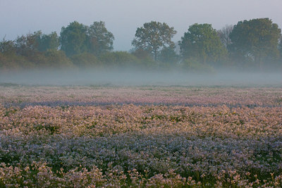 BUITEN BEELD Foto: 57784
