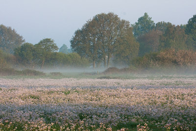 BUITEN BEELD Foto: 57785