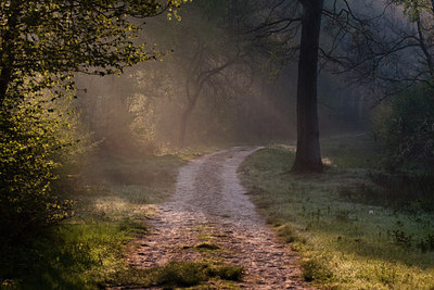 BUITEN BEELD Foto: 57788
