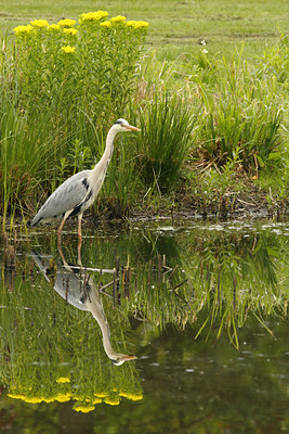 BUITEN BEELD Foto: 57790