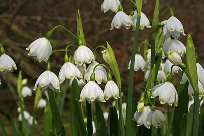 BUITEN BEELD Foto: 57818