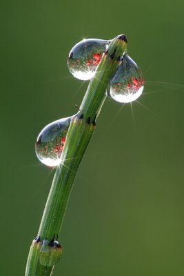 BUITEN BEELD Foto: 57964
