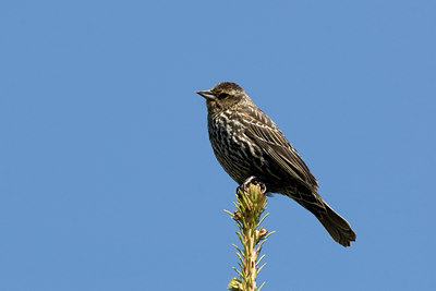BUITEN BEELD Foto: 57969