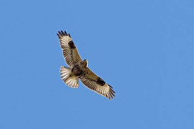 BUITEN BEELD Foto: 58001