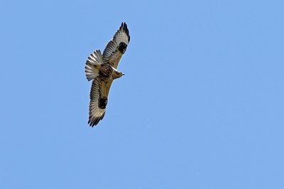BUITEN BEELD Foto: 58002
