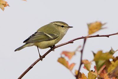 BUITEN BEELD Foto: 58017