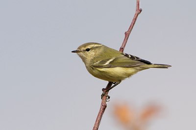BUITEN BEELD Foto: 58019