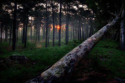 BUITEN BEELD Foto: 58047