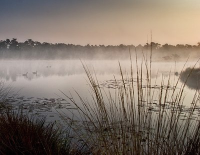 BUITEN BEELD Foto: 58053